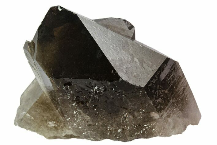Dark Smoky Quartz Crystal Cluster - Brazil #109244